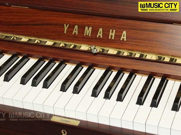 Music City – Tổng Kho Piano, Guitar, Organ | Dịch Vụ Giáo Dục Âm Nhạc