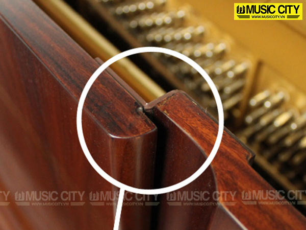 Music City – Tổng Kho Piano, Guitar, Organ | Dịch Vụ Giáo Dục Âm Nhạc