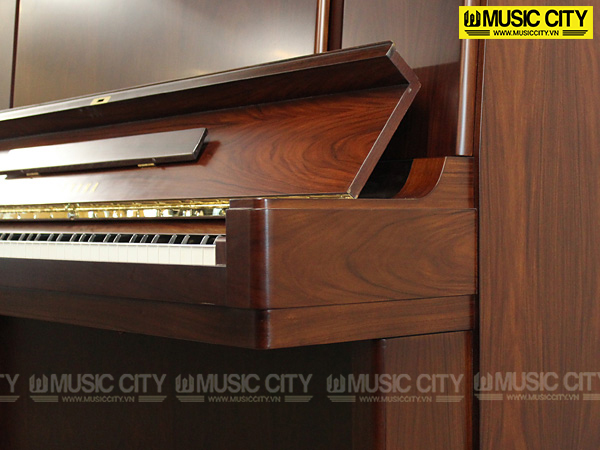 Music City – Tổng Kho Piano, Guitar, Organ | Dịch Vụ Giáo Dục Âm Nhạc