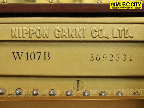 Music City – Tổng Kho Piano, Guitar, Organ | Dịch Vụ Giáo Dục Âm Nhạc