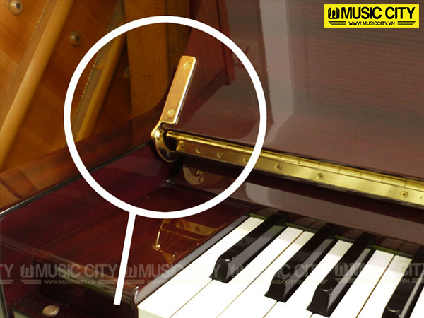 Music City – Tổng Kho Piano, Guitar, Organ | Dịch Vụ Giáo Dục Âm Nhạc