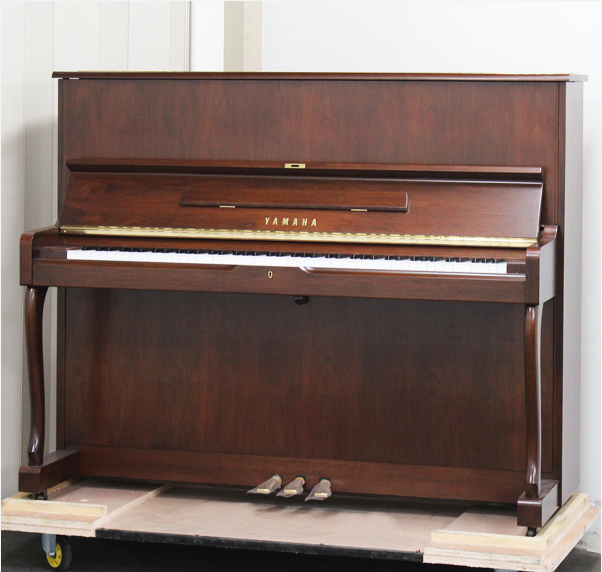 Music City – Tổng Kho Piano, Guitar, Organ | Dịch Vụ Giáo Dục Âm Nhạc