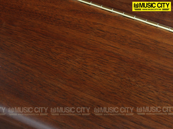 Music City – Tổng Kho Piano, Guitar, Organ | Dịch Vụ Giáo Dục Âm Nhạc