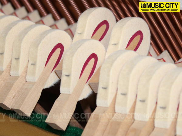 Music City – Tổng Kho Piano, Guitar, Organ | Dịch Vụ Giáo Dục Âm Nhạc