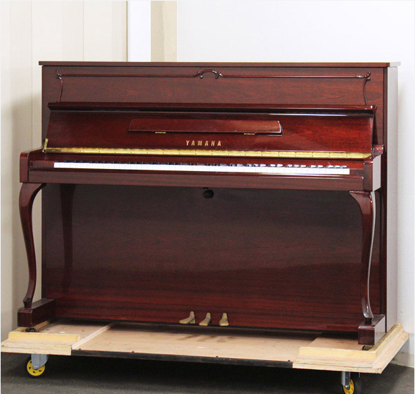 Music City – Tổng Kho Piano, Guitar, Organ | Dịch Vụ Giáo Dục Âm Nhạc
