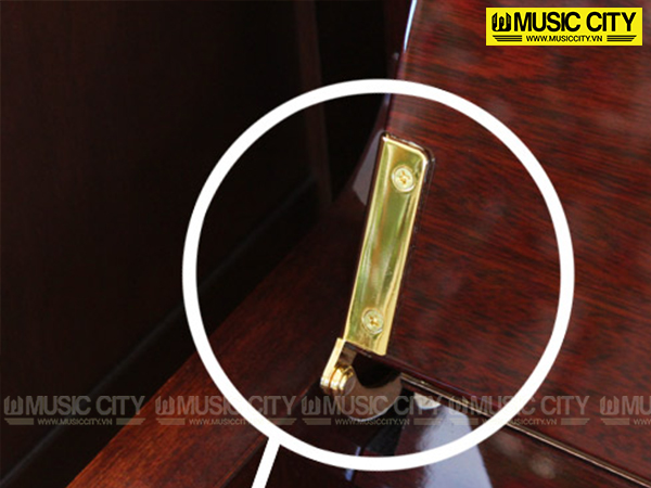 Music City – Tổng Kho Piano, Guitar, Organ | Dịch Vụ Giáo Dục Âm Nhạc