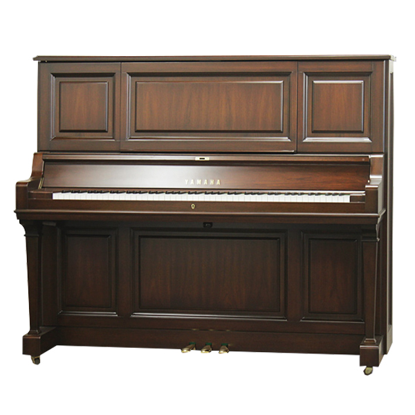 Music City – Tổng Kho Piano, Guitar, Organ | Dịch Vụ Giáo Dục Âm Nhạc