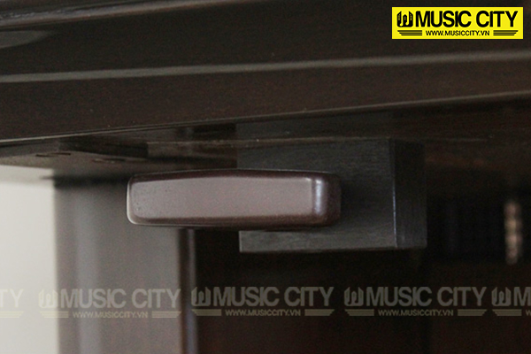 Music City – Tổng Kho Piano, Guitar, Organ | Dịch Vụ Giáo Dục Âm Nhạc