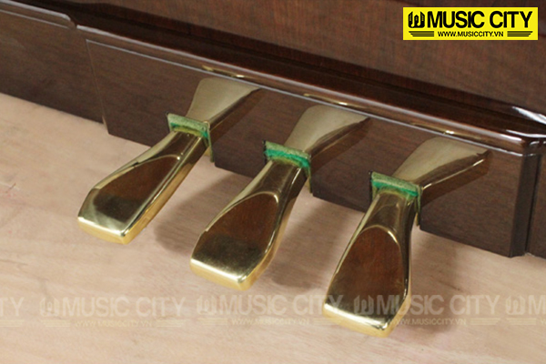 Music City – Tổng Kho Piano, Guitar, Organ | Dịch Vụ Giáo Dục Âm Nhạc