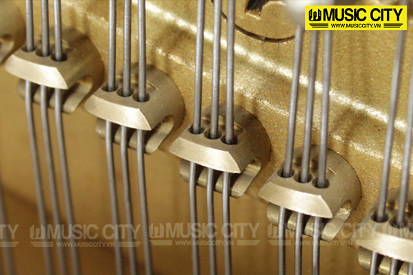 Music City – Tổng Kho Piano, Guitar, Organ | Dịch Vụ Giáo Dục Âm Nhạc