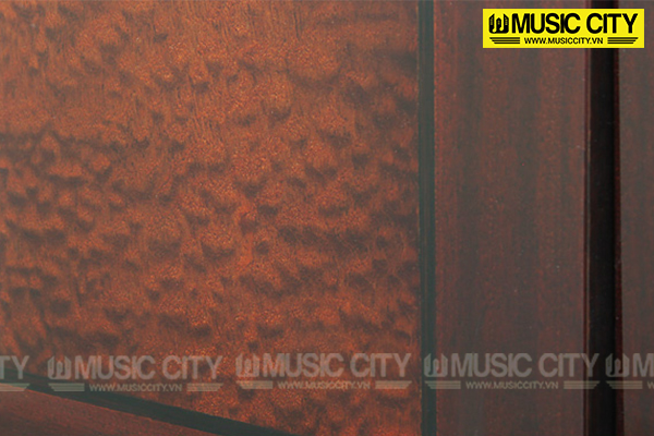 Music City – Tổng Kho Piano, Guitar, Organ | Dịch Vụ Giáo Dục Âm Nhạc