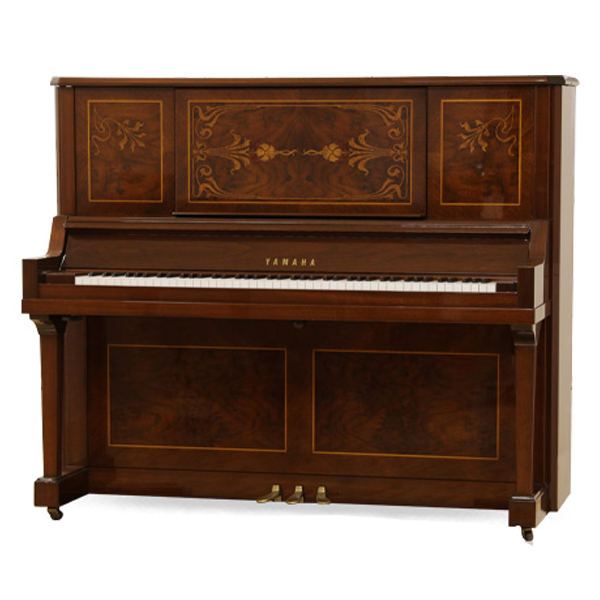 Music City – Tổng Kho Piano, Guitar, Organ | Dịch Vụ Giáo Dục Âm Nhạc