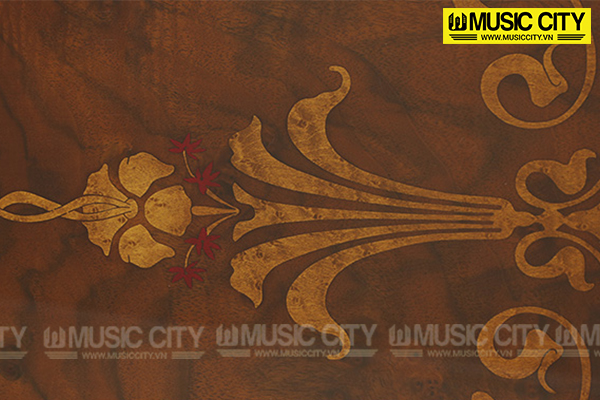 Music City – Tổng Kho Piano, Guitar, Organ | Dịch Vụ Giáo Dục Âm Nhạc