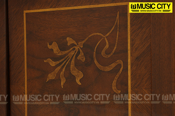 Music City – Tổng Kho Piano, Guitar, Organ | Dịch Vụ Giáo Dục Âm Nhạc