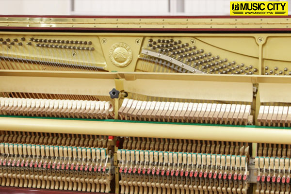 Music City – Tổng Kho Piano, Guitar, Organ | Dịch Vụ Giáo Dục Âm Nhạc