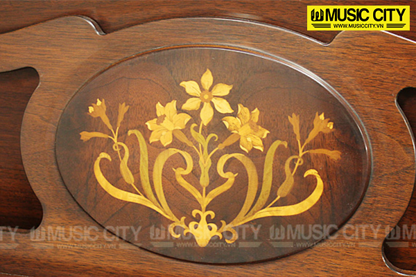 Music City – Tổng Kho Piano, Guitar, Organ | Dịch Vụ Giáo Dục Âm Nhạc