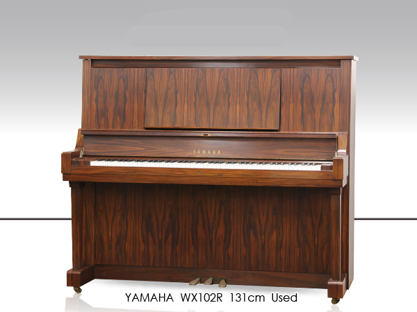 Music City – Tổng Kho Piano, Guitar, Organ | Dịch Vụ Giáo Dục Âm Nhạc