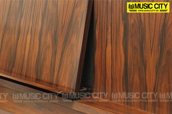 Music City – Tổng Kho Piano, Guitar, Organ | Dịch Vụ Giáo Dục Âm Nhạc