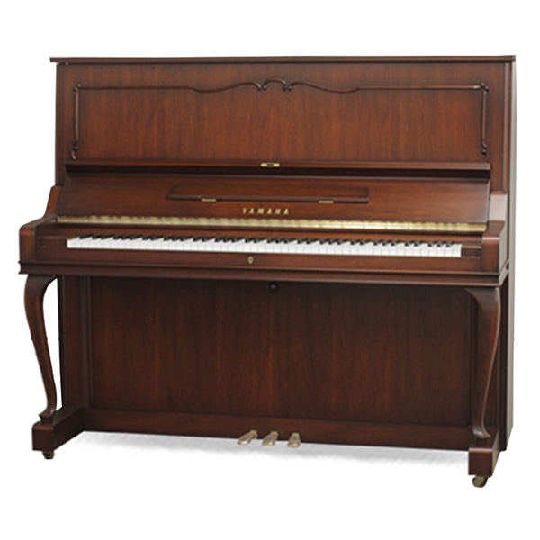 Music City – Tổng Kho Piano, Guitar, Organ | Dịch Vụ Giáo Dục Âm Nhạc