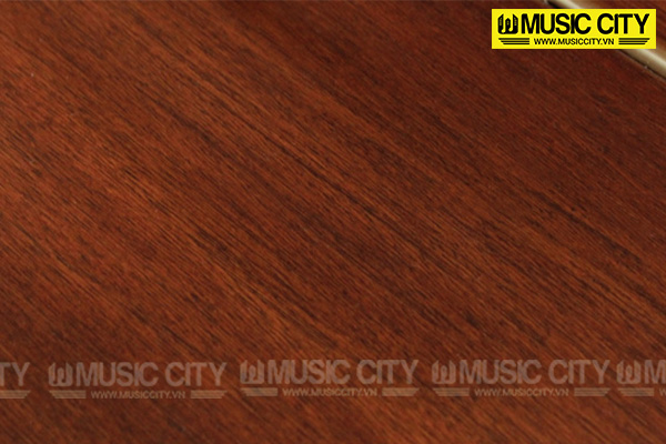 Music City – Tổng Kho Piano, Guitar, Organ | Dịch Vụ Giáo Dục Âm Nhạc