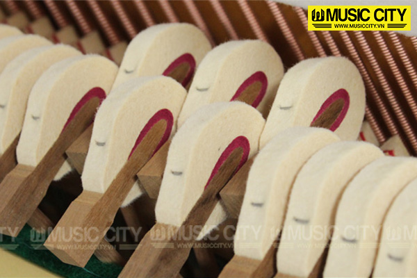 Music City – Tổng Kho Piano, Guitar, Organ | Dịch Vụ Giáo Dục Âm Nhạc