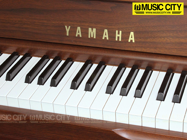 Music City – Tổng Kho Piano, Guitar, Organ | Dịch Vụ Giáo Dục Âm Nhạc