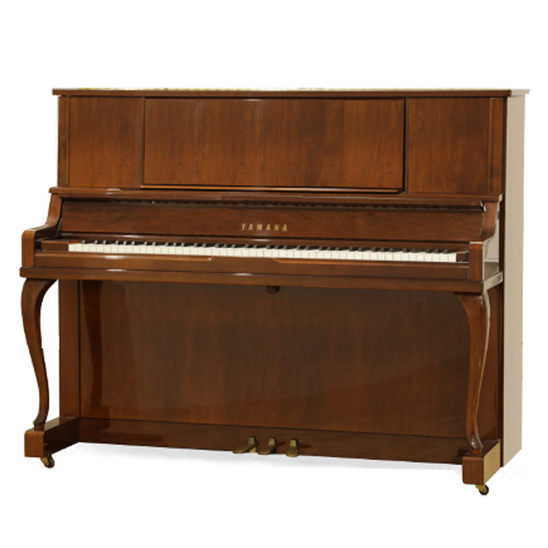 Music City – Tổng Kho Piano, Guitar, Organ | Dịch Vụ Giáo Dục Âm Nhạc