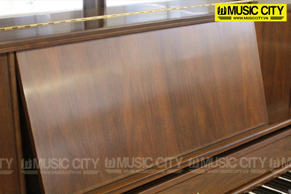 Music City – Tổng Kho Piano, Guitar, Organ | Dịch Vụ Giáo Dục Âm Nhạc