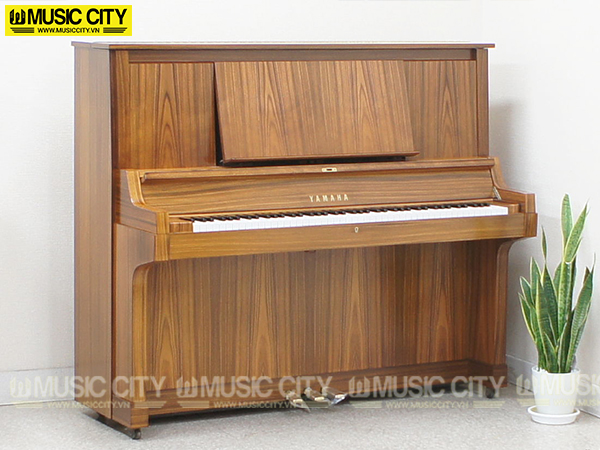 Music City – Tổng Kho Piano, Guitar, Organ | Dịch Vụ Giáo Dục Âm Nhạc