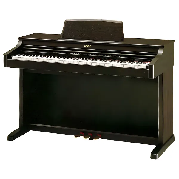 Music City – Tổng Kho Piano, Guitar, Organ | Dịch Vụ Giáo Dục Âm Nhạc
