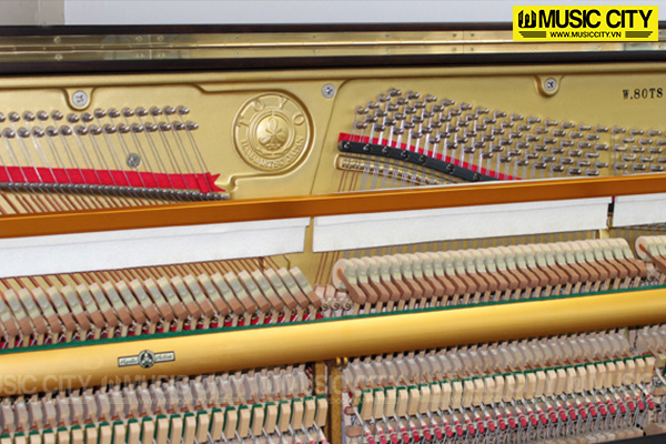 Music City – Tổng Kho Piano, Guitar, Organ | Dịch Vụ Giáo Dục Âm Nhạc