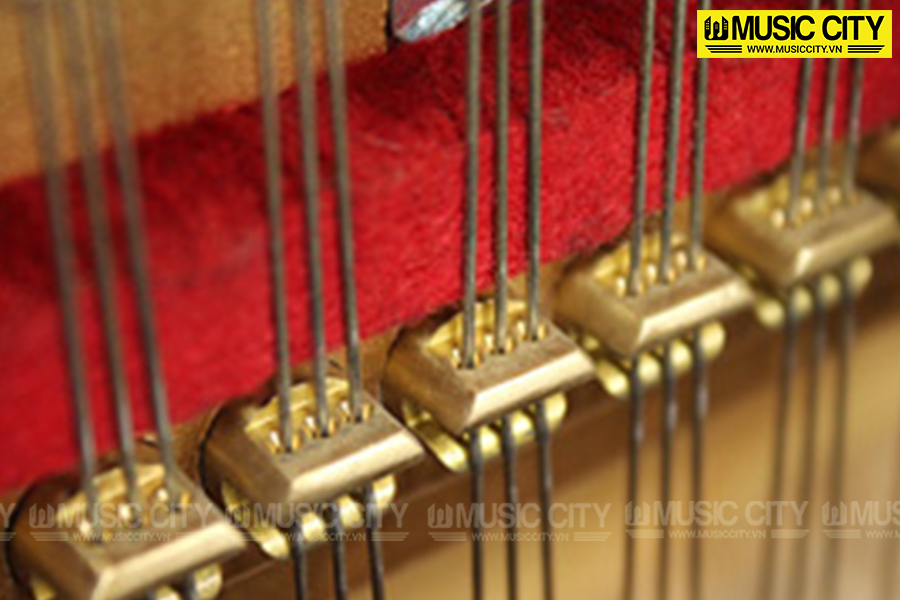 Music City – Tổng Kho Piano, Guitar, Organ | Dịch Vụ Giáo Dục Âm Nhạc