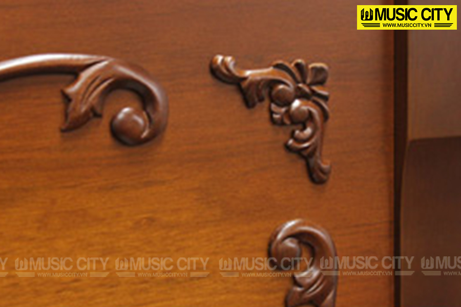 Music City – Tổng Kho Piano, Guitar, Organ | Dịch Vụ Giáo Dục Âm Nhạc
