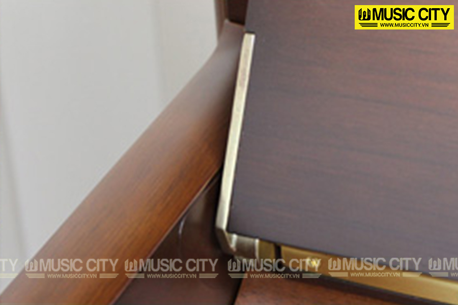 Music City – Tổng Kho Piano, Guitar, Organ | Dịch Vụ Giáo Dục Âm Nhạc