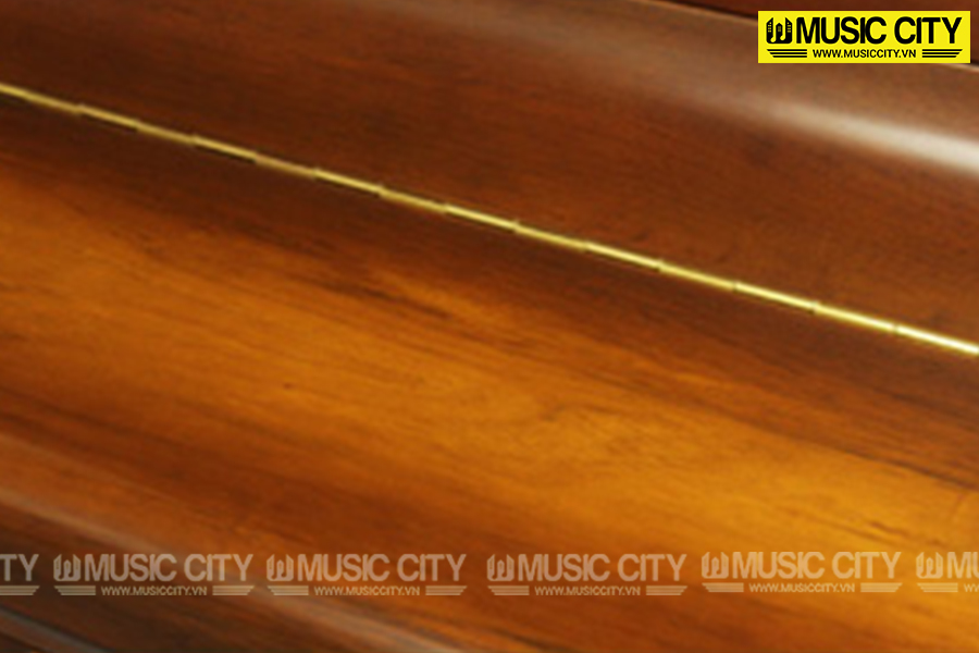 Music City – Tổng Kho Piano, Guitar, Organ | Dịch Vụ Giáo Dục Âm Nhạc