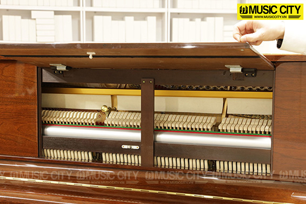 Music City – Tổng Kho Piano, Guitar, Organ | Dịch Vụ Giáo Dục Âm Nhạc