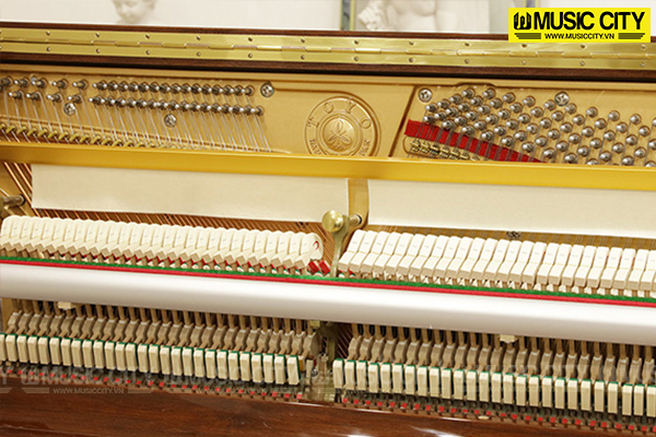 Music City – Tổng Kho Piano, Guitar, Organ | Dịch Vụ Giáo Dục Âm Nhạc