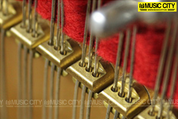 Music City – Tổng Kho Piano, Guitar, Organ | Dịch Vụ Giáo Dục Âm Nhạc