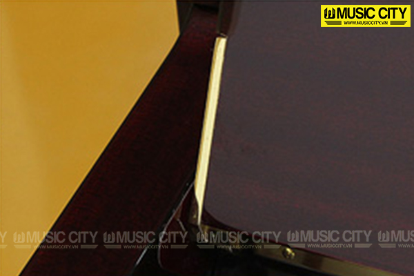 Music City – Tổng Kho Piano, Guitar, Organ | Dịch Vụ Giáo Dục Âm Nhạc
