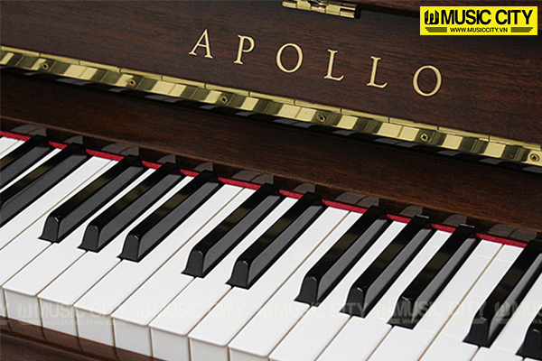 Music City – Tổng Kho Piano, Guitar, Organ | Dịch Vụ Giáo Dục Âm Nhạc