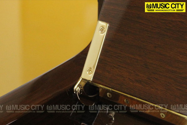 Music City – Tổng Kho Piano, Guitar, Organ | Dịch Vụ Giáo Dục Âm Nhạc