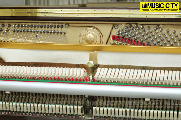Music City – Tổng Kho Piano, Guitar, Organ | Dịch Vụ Giáo Dục Âm Nhạc