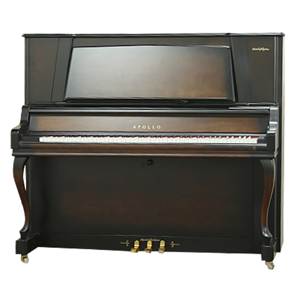 Music City – Tổng Kho Piano, Guitar, Organ | Dịch Vụ Giáo Dục Âm Nhạc