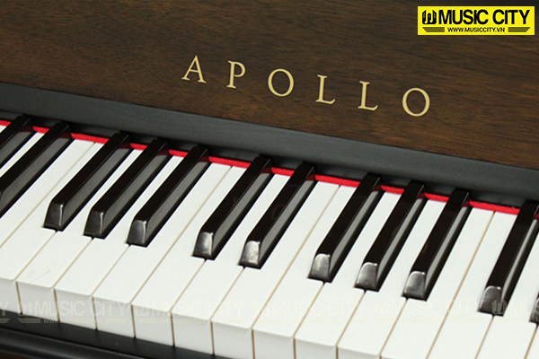 Music City – Tổng Kho Piano, Guitar, Organ | Dịch Vụ Giáo Dục Âm Nhạc