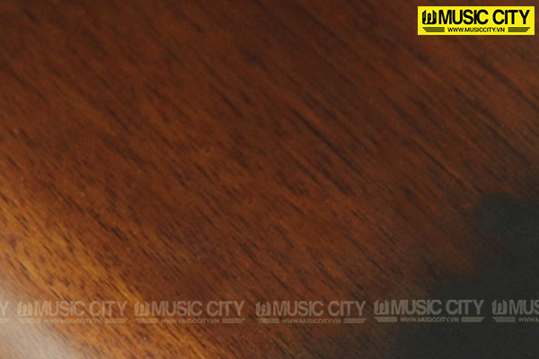 Music City – Tổng Kho Piano, Guitar, Organ | Dịch Vụ Giáo Dục Âm Nhạc