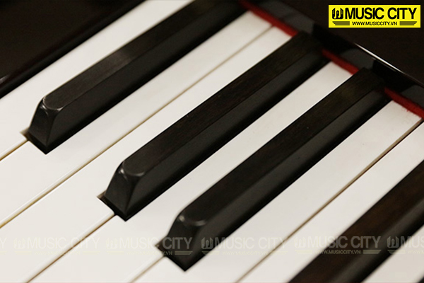 Music City – Tổng Kho Piano, Guitar, Organ | Dịch Vụ Giáo Dục Âm Nhạc