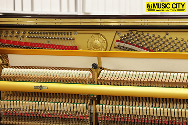 Music City – Tổng Kho Piano, Guitar, Organ | Dịch Vụ Giáo Dục Âm Nhạc