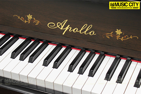 Đàn Piano Apollo AW800 - Ảnh 3