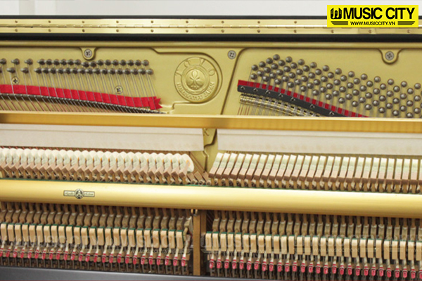 Đàn Piano Apollo AW800 - Ảnh 8