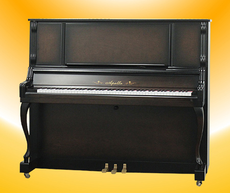 Music City – Tổng Kho Piano, Guitar, Organ | Dịch Vụ Giáo Dục Âm Nhạc